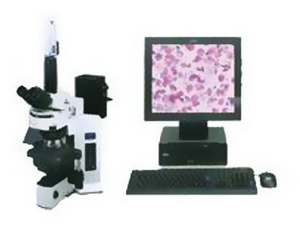 铜川数字医学（液基细胞学）图像分析系统